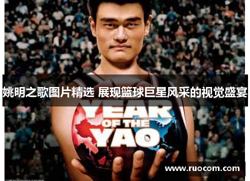 姚明之歌图片精选 展现篮球巨星风采的视觉盛宴