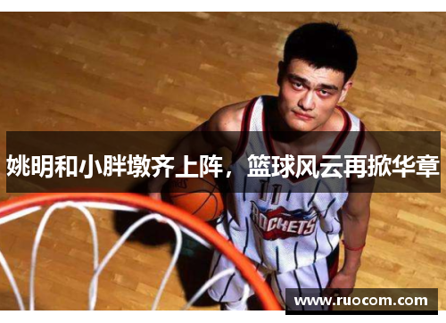 姚明和小胖墩齐上阵，篮球风云再掀华章