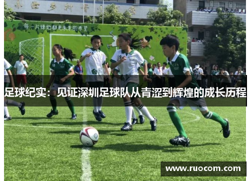 足球纪实：见证深圳足球队从青涩到辉煌的成长历程